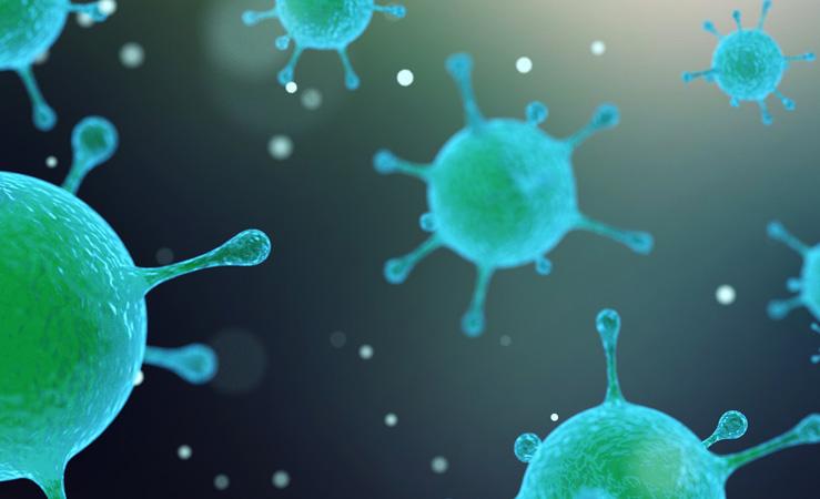 It’s Not Clean Until It’s Polti Clean