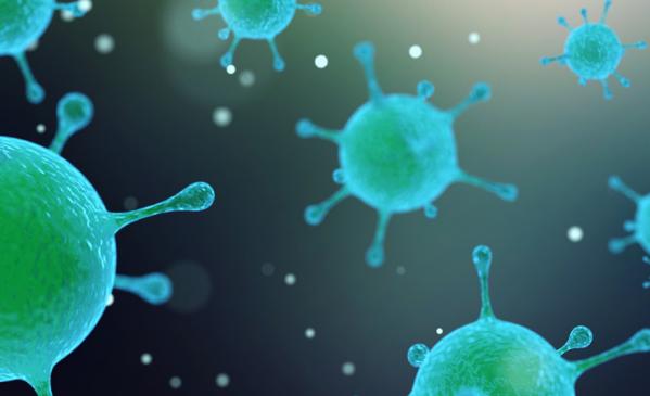 It’s Not Clean Until It’s Polti Clean