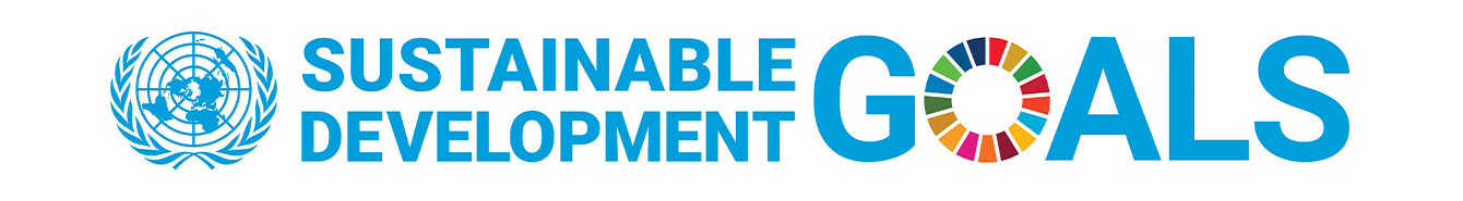 UN sustainable development Goals logo