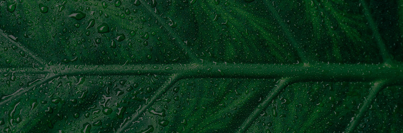 Polti: sustainable company