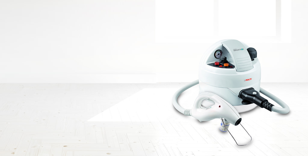 Steam cleaner against bed bugs