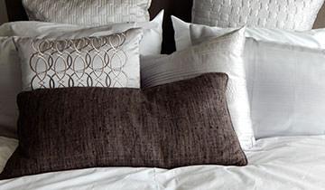 Bed with pillows - dry immediately after using POLTI Cimex Eradicator
