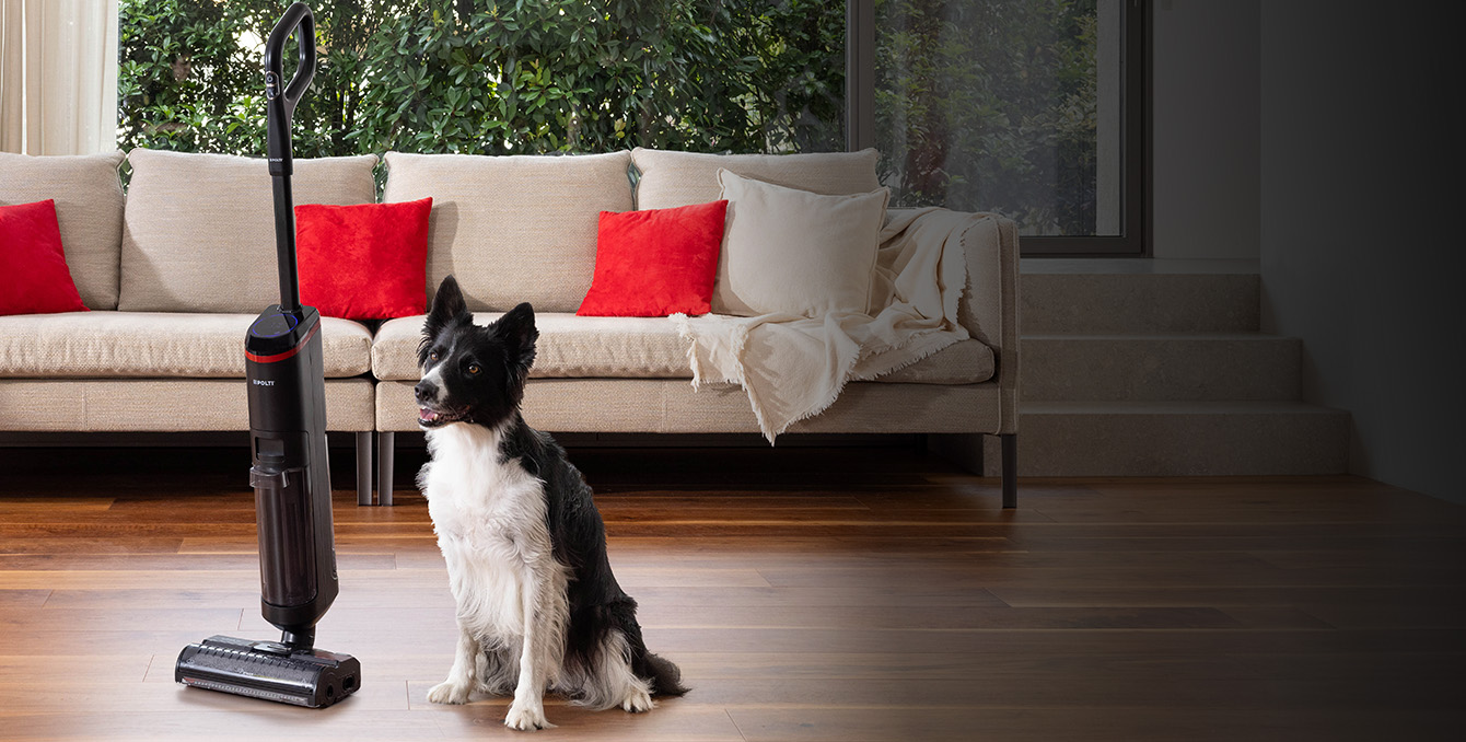 Wet and dry cleaning mop with a dog 