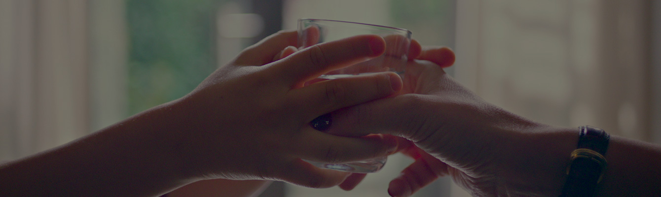 The secret of Polti Brands